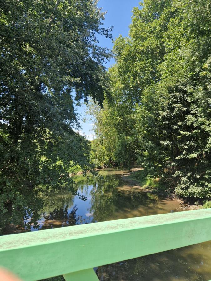 L'Entre Deux Eaux 'Maison' Balcon 'Et Jardin Reims Buitenkant foto